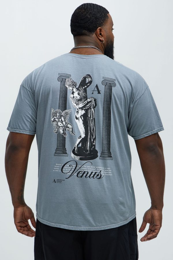 Venus Short Sleeve Tee - Grey