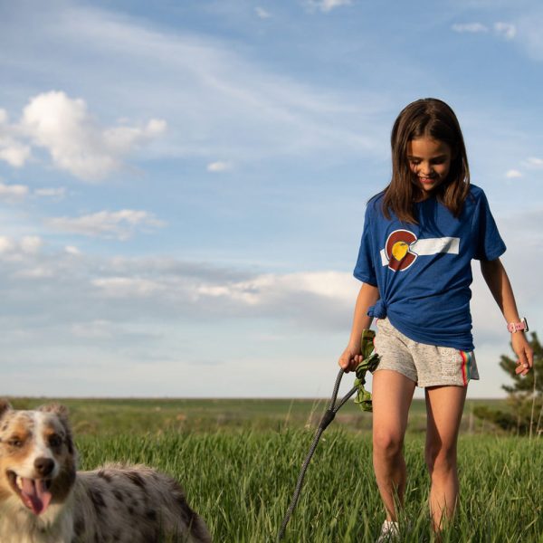 Kids' Classic Colorado Flag Royal T-Shirt - Image 2